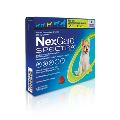 Nexgard Spectra perros 7,6 - 15 kg