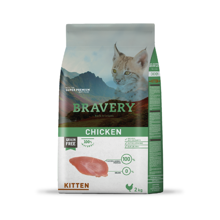 Bravery Kitten Pollo 2k