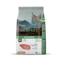 Thumbnail for Bravery Kitten Pollo 2k