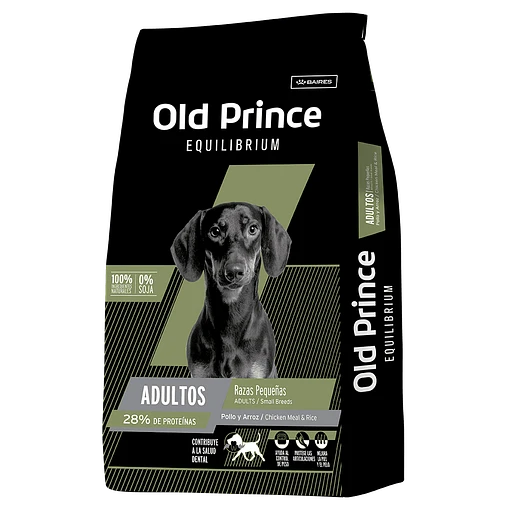 Old Prince Equilibrium perro adulto raza pequeña