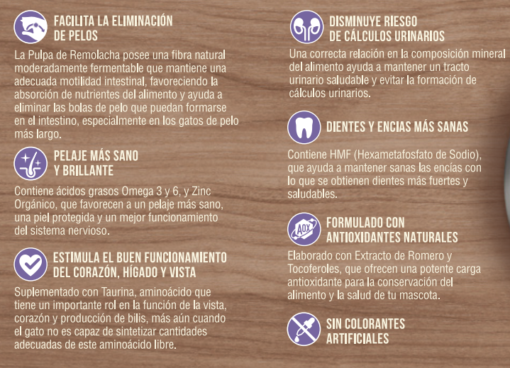 Nómade Gato Adulto