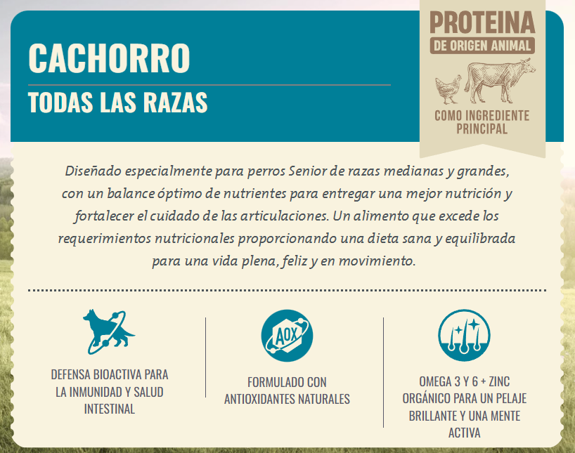 Nómade Cachorros Todas las Razas