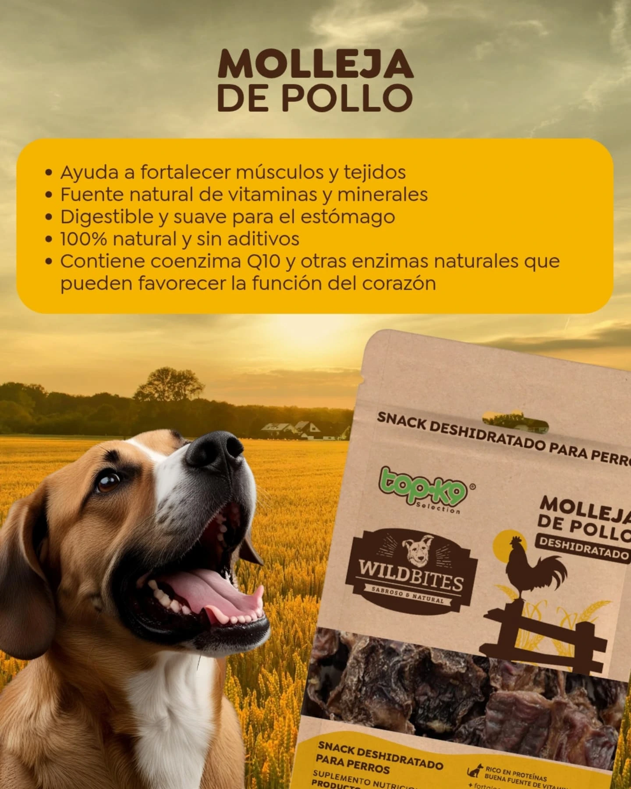WildBites - Snacks deshidratados para perros