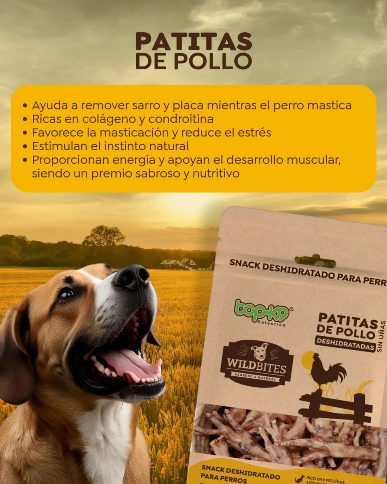 WildBites - Snacks deshidratados para perros