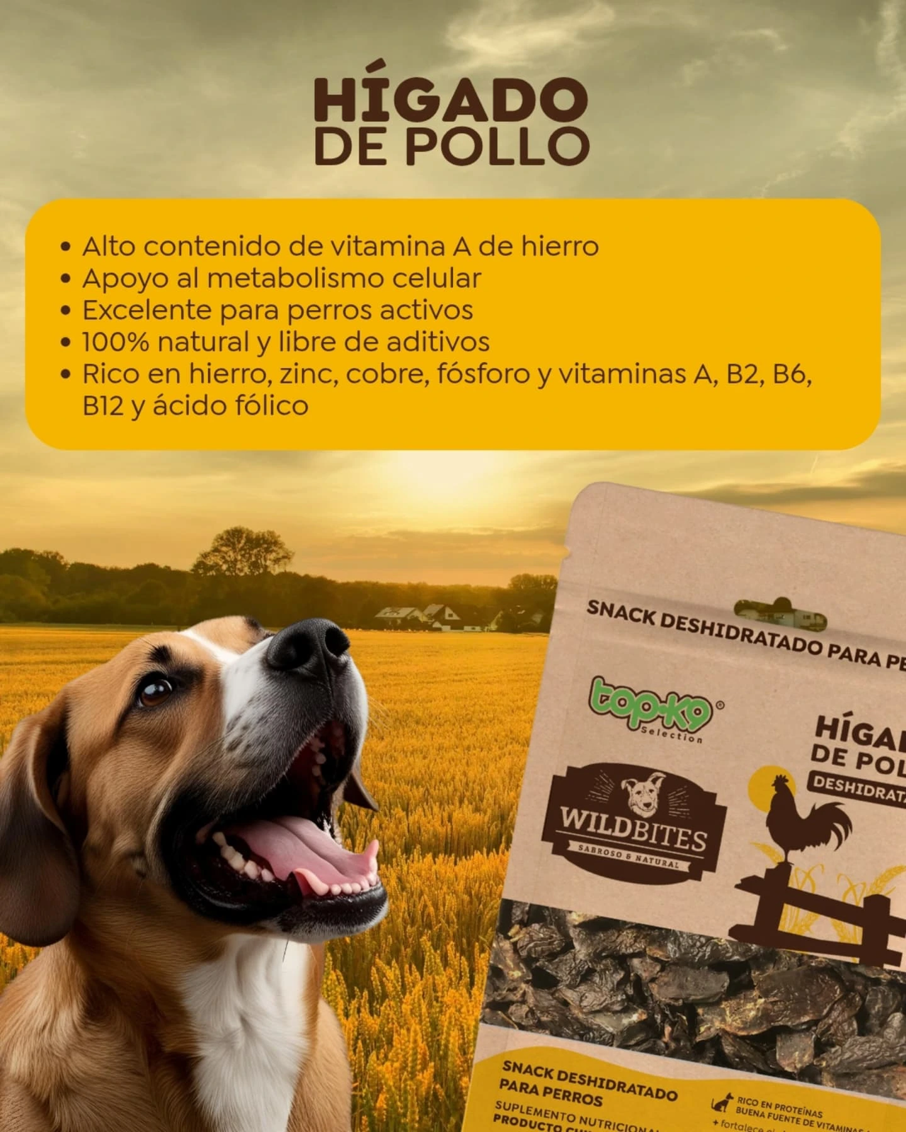 WildBites - Snacks deshidratados para perros