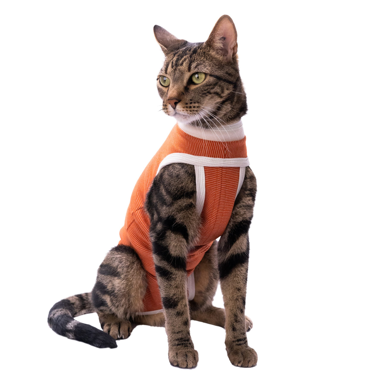 Body de cobre tradicional Kimba