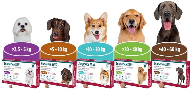 Simparica Trio - Antiparasitario interno y externo