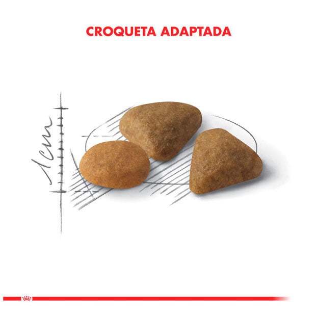 Royal Canin Gato Exigent