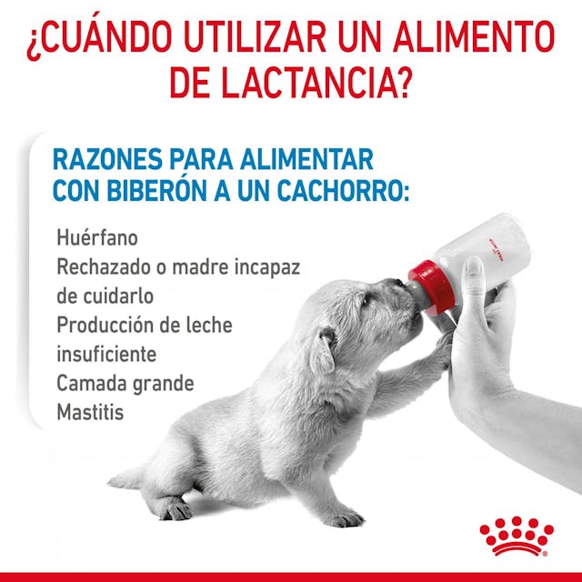 Baby Dog Milk 400 g