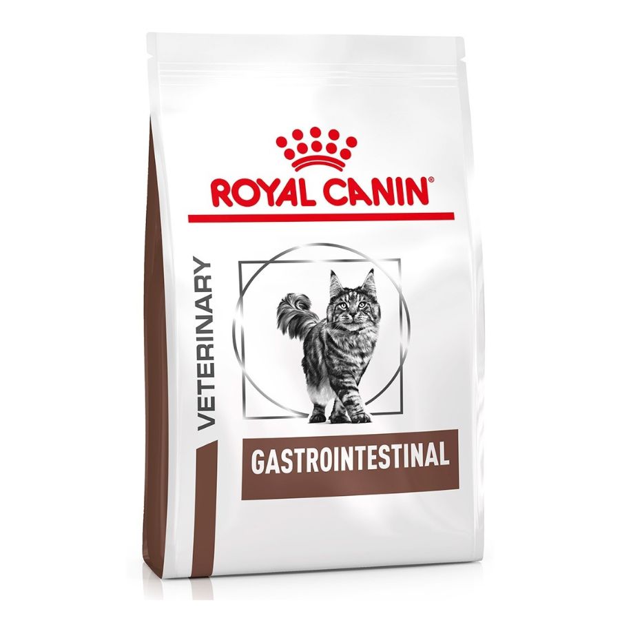 Royal Canin Gato - Gastrointestinal