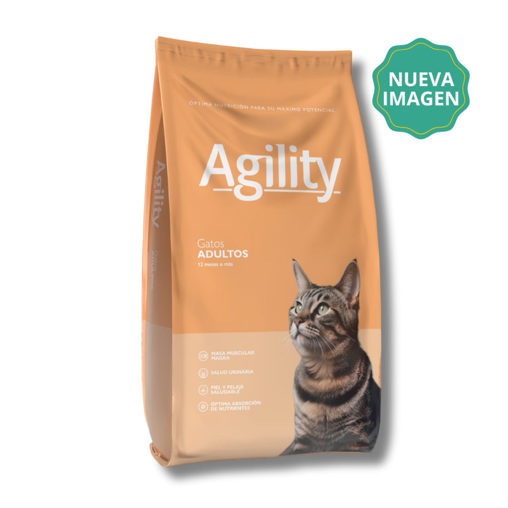 Agility Gatos Adultos