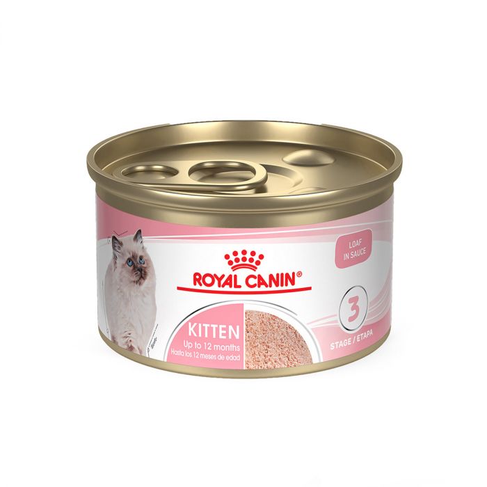 Royal Canin Lata Kitten 145 g