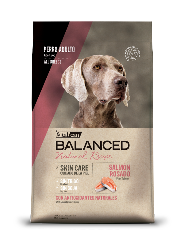 VitalCan Balanced Salmon 15 kg
