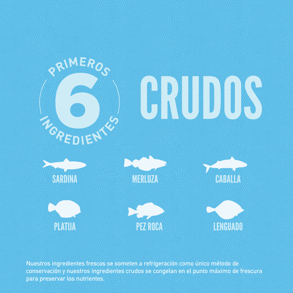 Orijen gato Six Fish