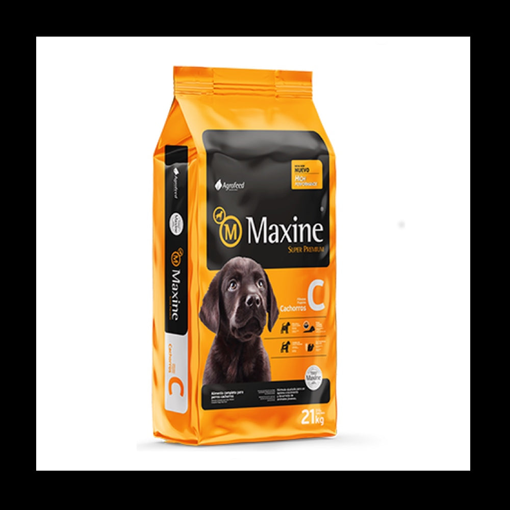 Maxine Cachorro 21 kg