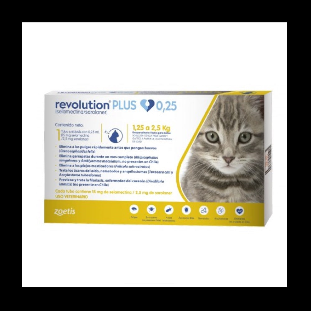 Revolution plus 0,25 ml gatos de 1.25 - 2.5 kg